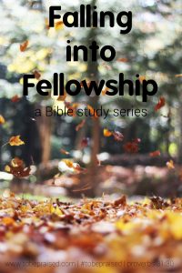 falling-into-fellowship