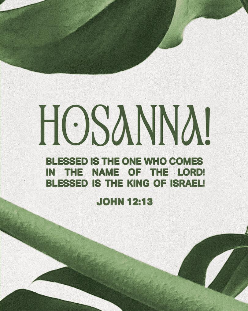Palm Sunday 🌴🙏🏾